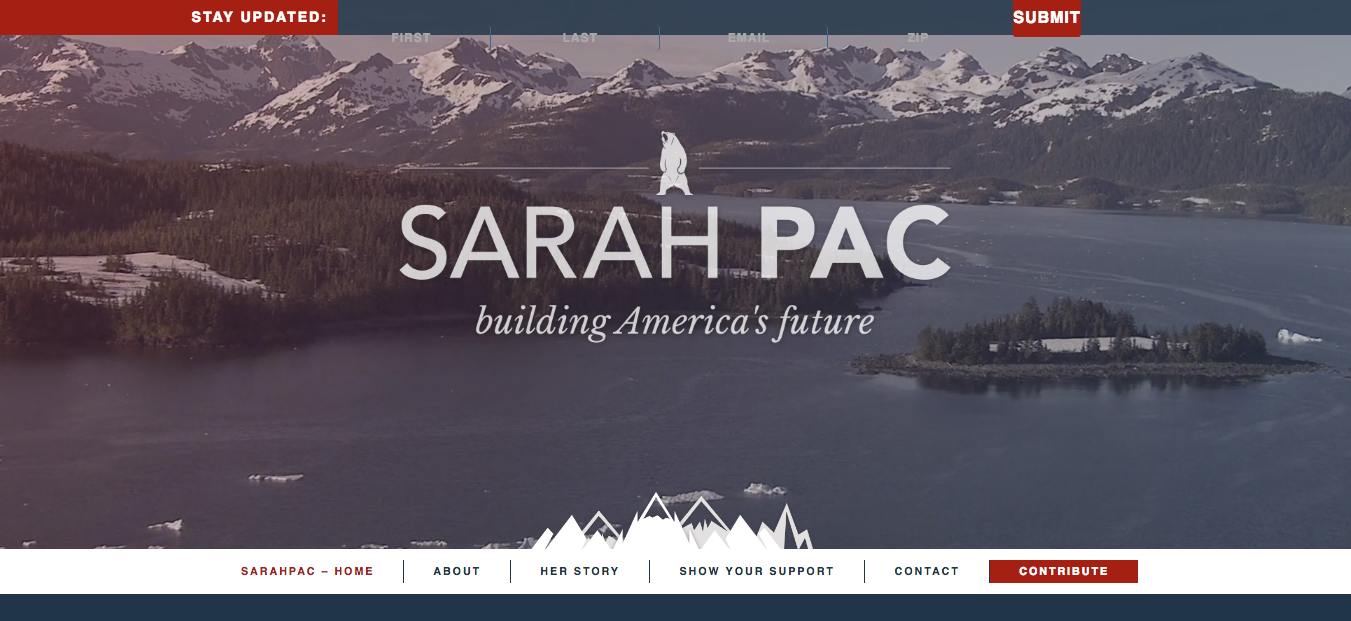 Sarah Palin best website design